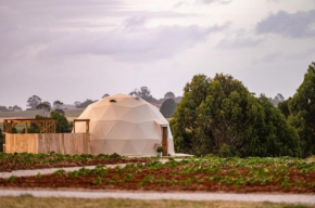 Mount Gnomon Farm
